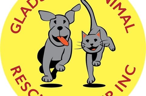 Dog adoption day
